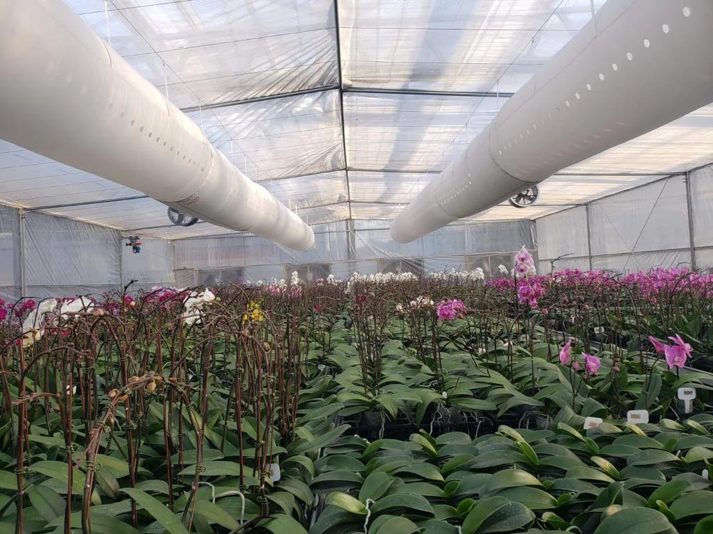Estufa com dutos têxteis e flores